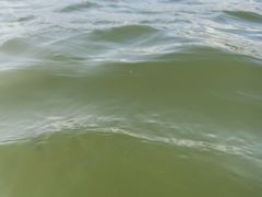 -碧海金沙
