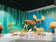 -中国湿地博物馆