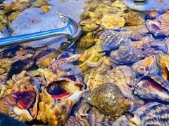 -海天盛宴潮汕蒸汽海鲜高端自助形象店