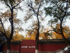 -北京国子监胡同