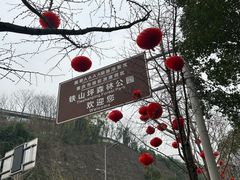 -铁山坪森林公园