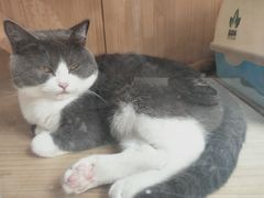 -小小班私人影院·猫咖(万达茂广场店)