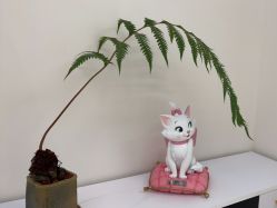 -WENDY·温迪皮肤管理