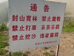 -灵山