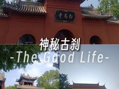 -洛阳白马寺