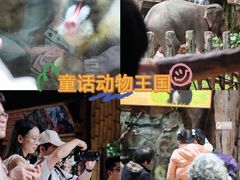 -长鹿旅游休博园