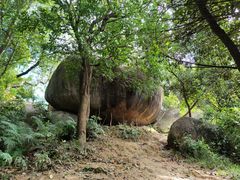 -火炉山森林公园