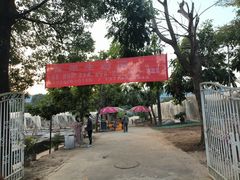 -光明农场大观园