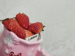 -卡滋贝诺动物奶油生日蛋糕(支塘工匠店)