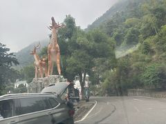 -长沙黑麋峰国家森林公园