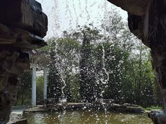 -石家庄市植物园