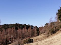 -神户市立六甲山牧场