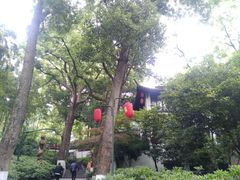 -杭州黄龙洞