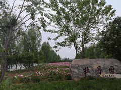 -泗洪洪泽湖湿地景区