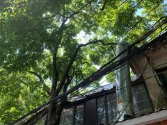 -文武王氏烧饼·无矾油条(西溪路店)