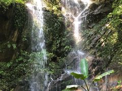 -莫里热带雨林景区