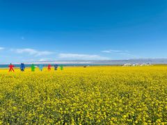 -青海湖国家重点风景名胜区