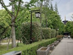 -枫桥景区