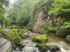 -茅兰沟国家森林公园