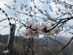 -居庸关长城