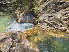 -九龙江国家森林公园