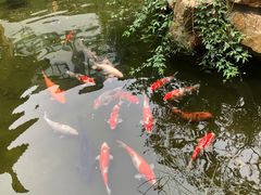 -云和夜泊酒店·中餐厅