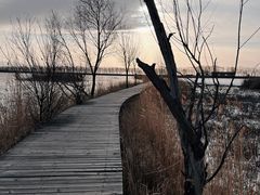 -野鸭湖国家湿地公园