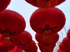 -南宫五洲植物乐园