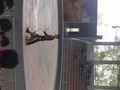 -石家庄市动物园