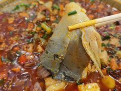 -蜀香川菜鱼庄(然乌店)