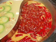 -大龙燚火锅(春熙店)