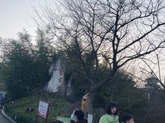 -习家池