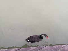 -上方山森林动物世界