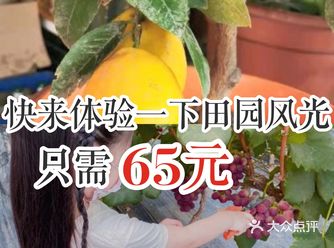快来体验一下田园风光，只需65元。