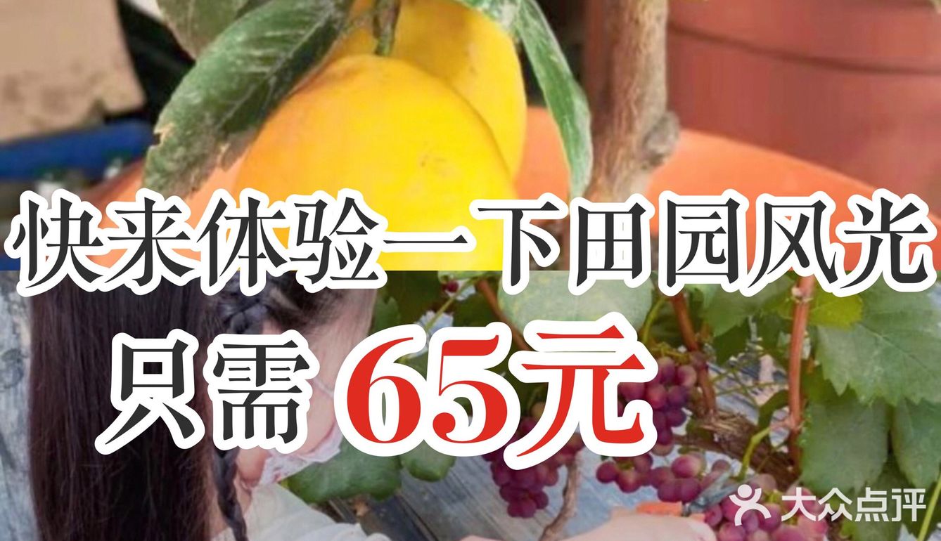 快来体验一下田园风光，只需65元。