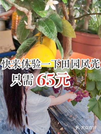 快来体验一下田园风光，只需65元。