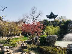 -芥子园