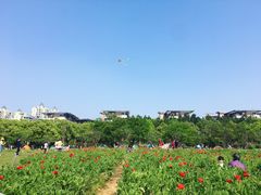 -艾溪湖湿地公园