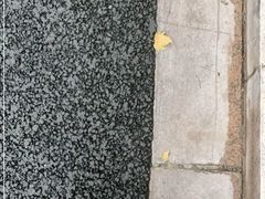 -牛朋牛奶棚(南昌路店)