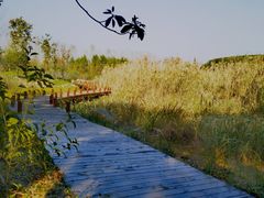 -同里国家湿地公园