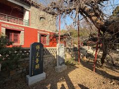 -泰山风景名胜区-普照寺