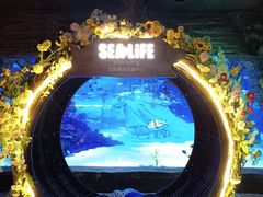 -沈阳海洋探索中心