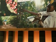 -星巴克(长沙麓南广场店)