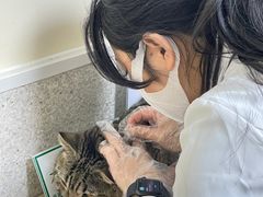 -谐和贝康宠物医院24小时·宠保定点(急重症转诊中心)