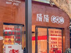 -阳阳老火锅(小南门店)