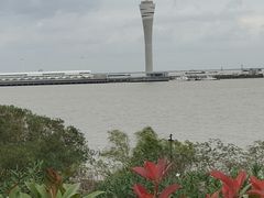 -吴淞炮台湾湿地森林公园烧烤区