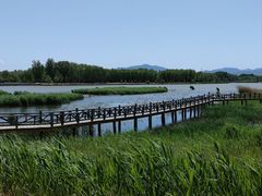 -野鸭湖国家湿地公园