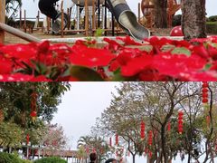 -大湾区中央湿地公园