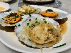 扇贝-华盛丰温州大排档(东三环南路店)