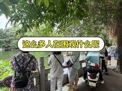 -荔湾湖公园
